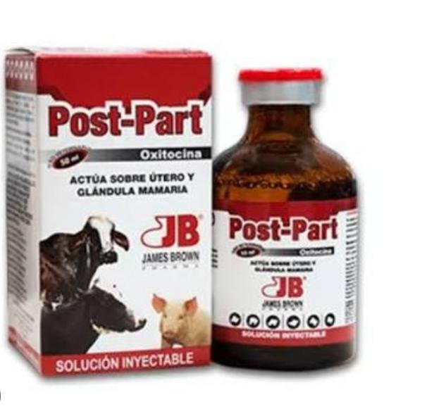 post part x 50ml