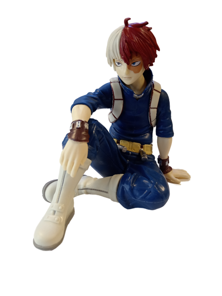 TODOROKI SENTADO