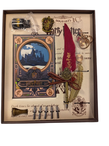 SET COMPLETO HARRY