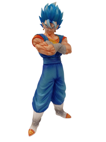 VEGETTO 1