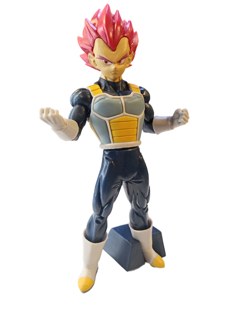 VEGETA 28