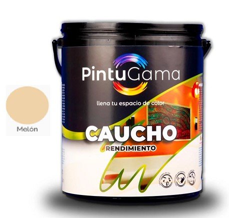 PINTURA TIPO C MELON GALON PINTUGAMA