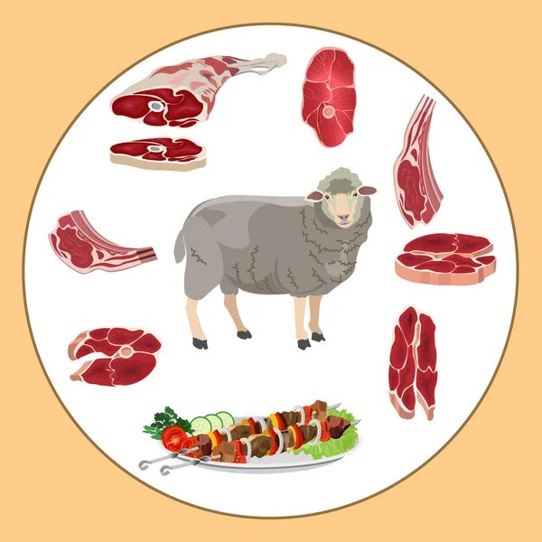 CARNE DE BORREGO
