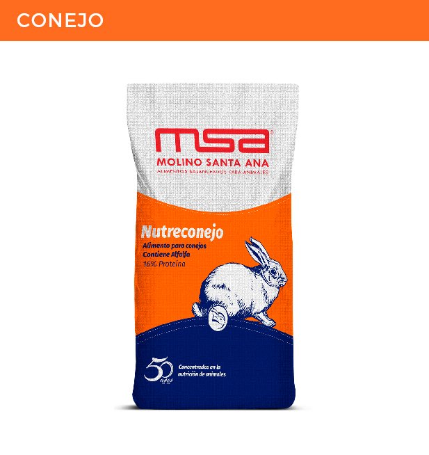 NUTRE CONEJO 100 LIBRAS