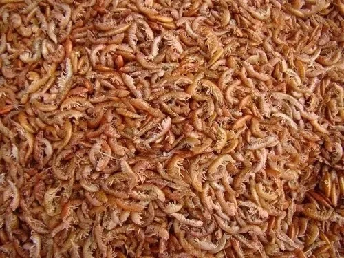 CAMARON DESIDRATADO EN BOTE 15 GRAMOS