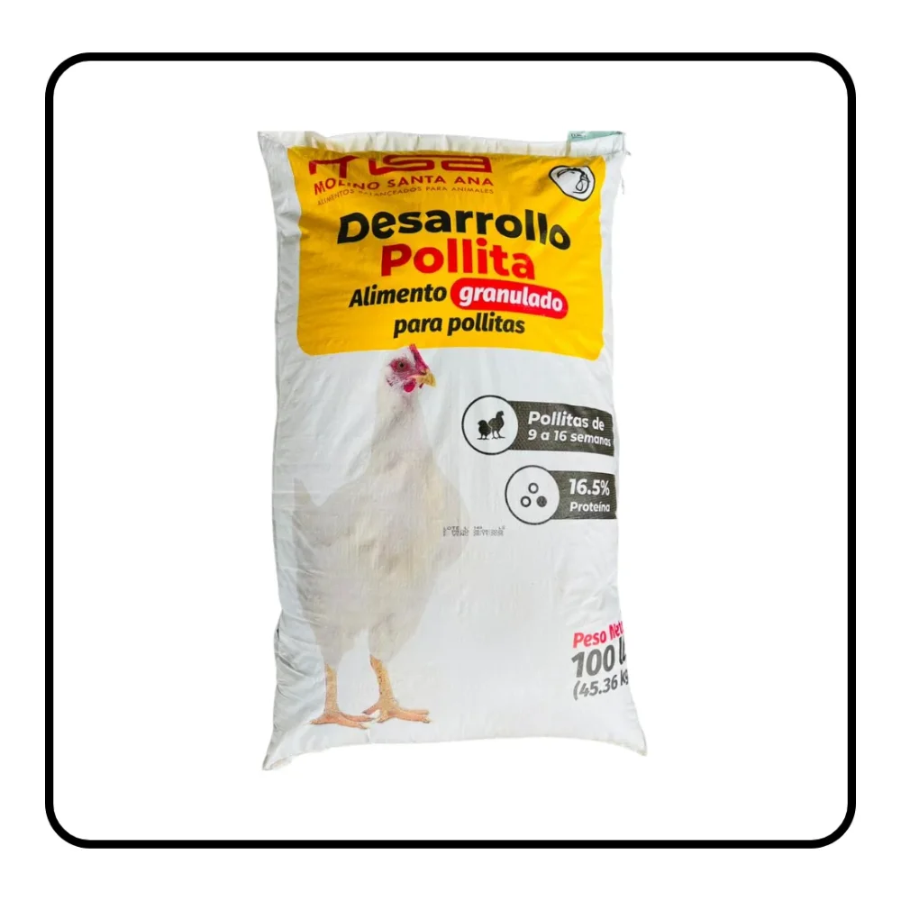 DESARROLLO POLLITA GRANULADO QUINTAL