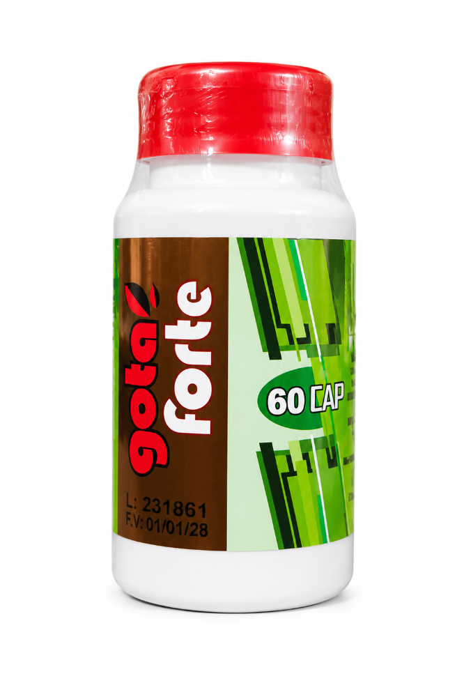 GOTA FORTE X60