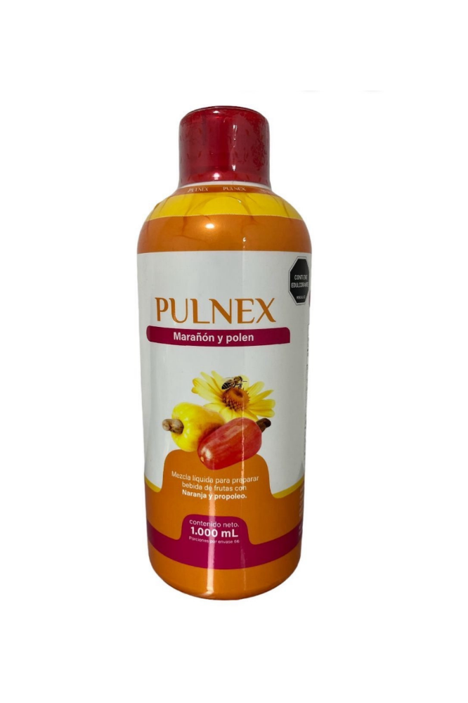 PULNEX LITRO HEAL NATURAL