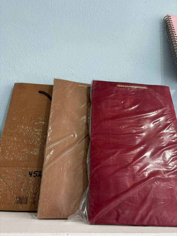 Bolsa Kraft grande