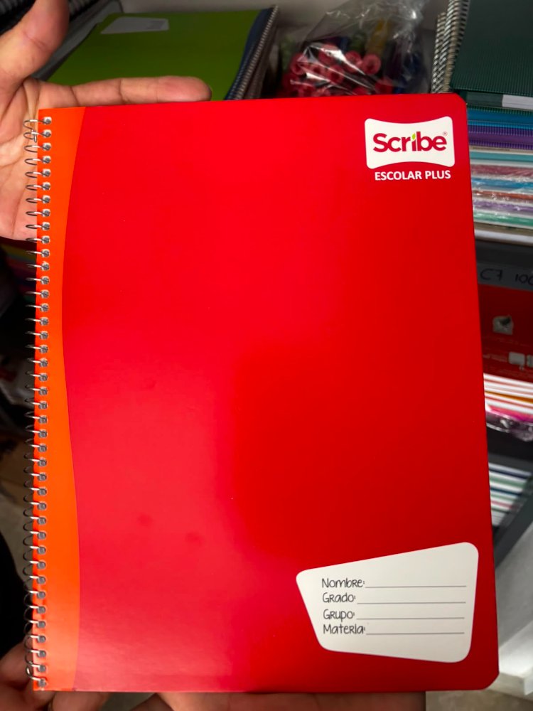 Cuaderno dibujo scribe profesional 100hj