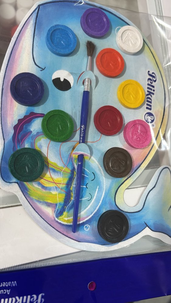 Acuarelas ballena pelikan