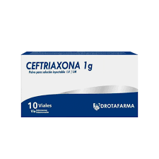 CEFTRIAXONA AMP 1GX 1 IV/IM DROTOFARMA