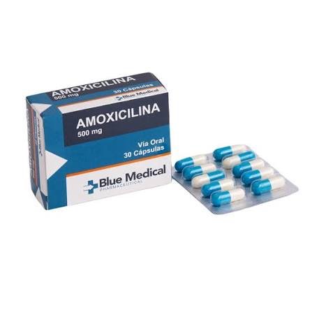AMOXICILINA 500MG X12 CAPS BLUE MEDICAL