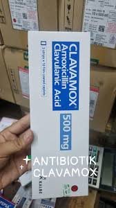 CLAVAMOX DUO (AMOXICILINA + ACIDO CLAVULANICO 875 MG+125MG