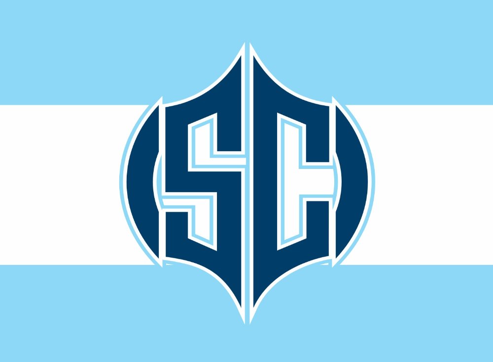 DISEÑO DE BARRA BRAVA