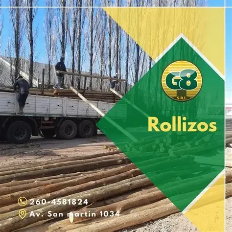 rollizo sin canterar 6