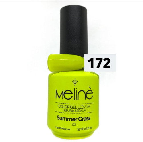 172 SUMMER GRASS