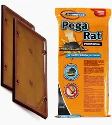 PEGA RAT - CHICO