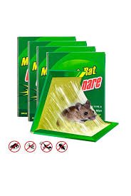 ADHESIVO PARA ROEDOR (VERDE)