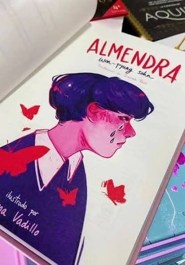 Almendra (Ilustrado) - Won Pyung Sohn