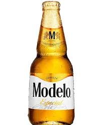 MODELO ESPECIAL