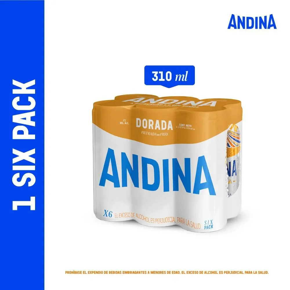 Cerveza andina  dorada X310ml X6UNS