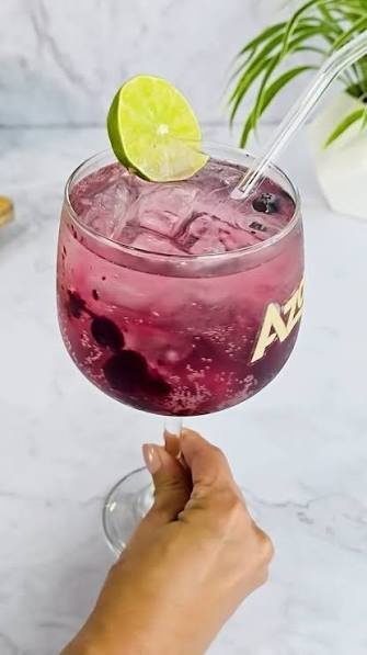 MICHELADA DE ARANDANOS