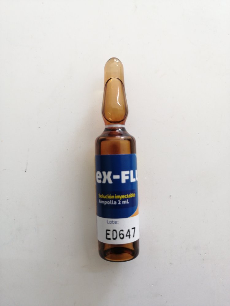 Ex-Flu Antigripal (Eucalipto mas Guayacolato) Ampolla