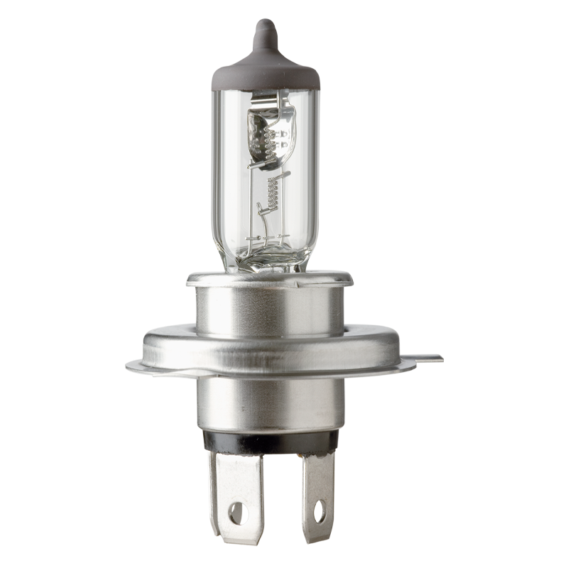 BUJIA H4 100/90W 12V FLOSSER