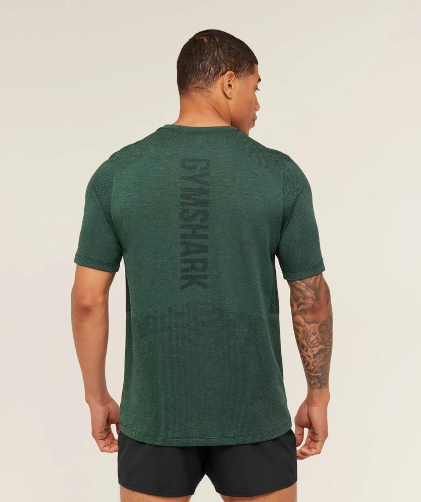 LIGHTWEIGHT SEAMLESS