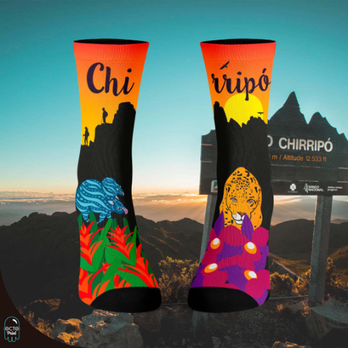 Calcetines Chirripó ff