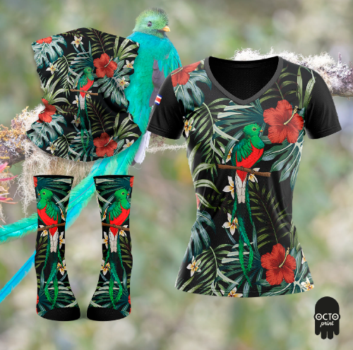 Kit Quetzal