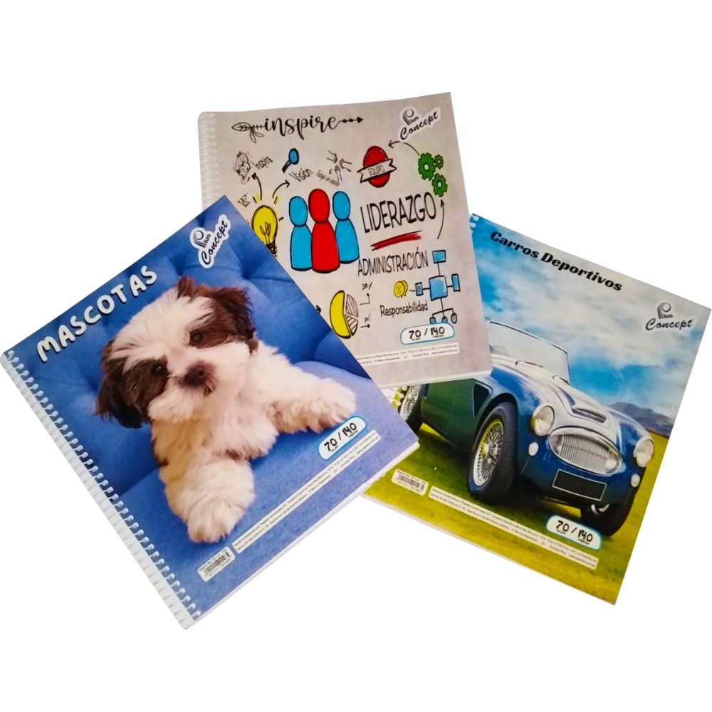L200008088 CUADERNO # 1-3 SURTIDO