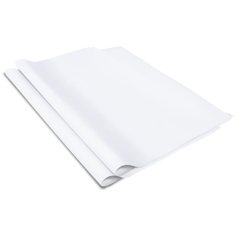 L20000117 PAPEL BOND B-20 PLIEGO BLANCO