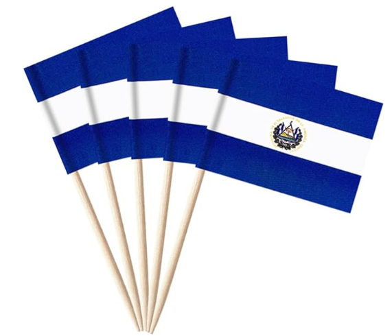 L20000430 BANDERA ES PEQUEÑA