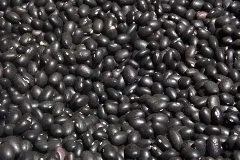 POROTO  NEGRO  1K