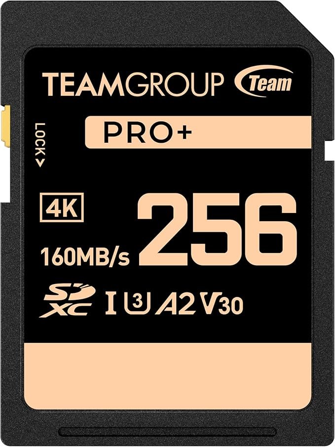 TEAMGROUP PRO 256GB UHS-I U3 A2 V30 4K UHD Velocidade de leitura/gravação de até 160/