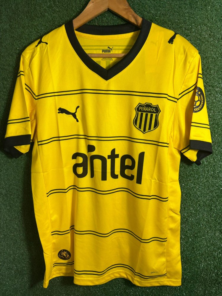 Peñarol alternativa 26/27 - hincha