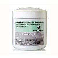 Crema Anti Envejecimiento x 250 gr.