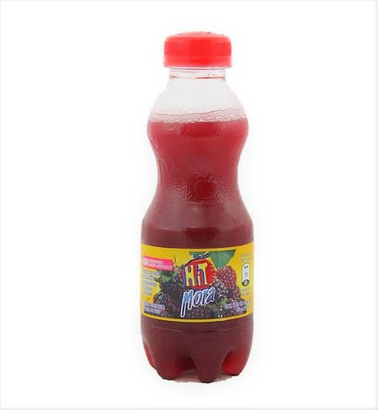 JUGO HIT MORA 300 ML