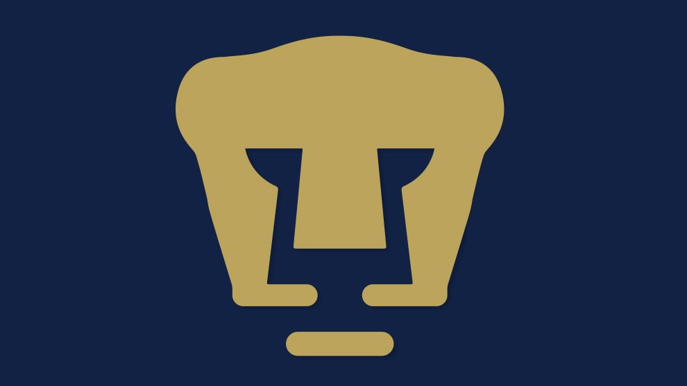 UNIFORME PUMAS