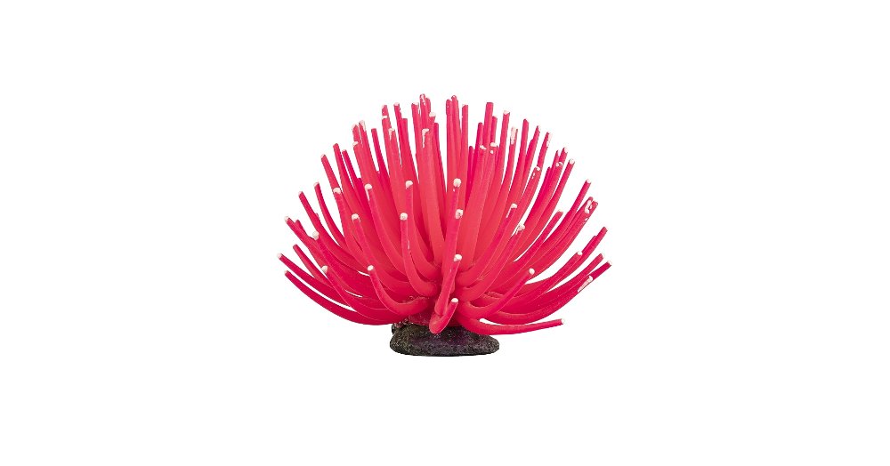 ADORNO ANEMONE NO. 3