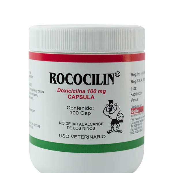 ROCOCILIN MOQUILLO