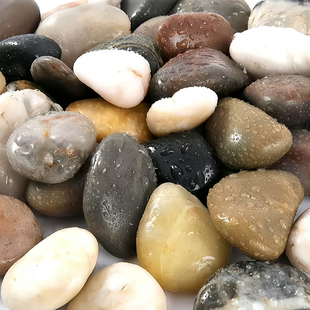 PIEDRA GRANDE ACUARIO