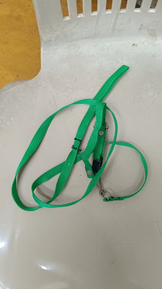 COLLAR+LAZO SENCILLO