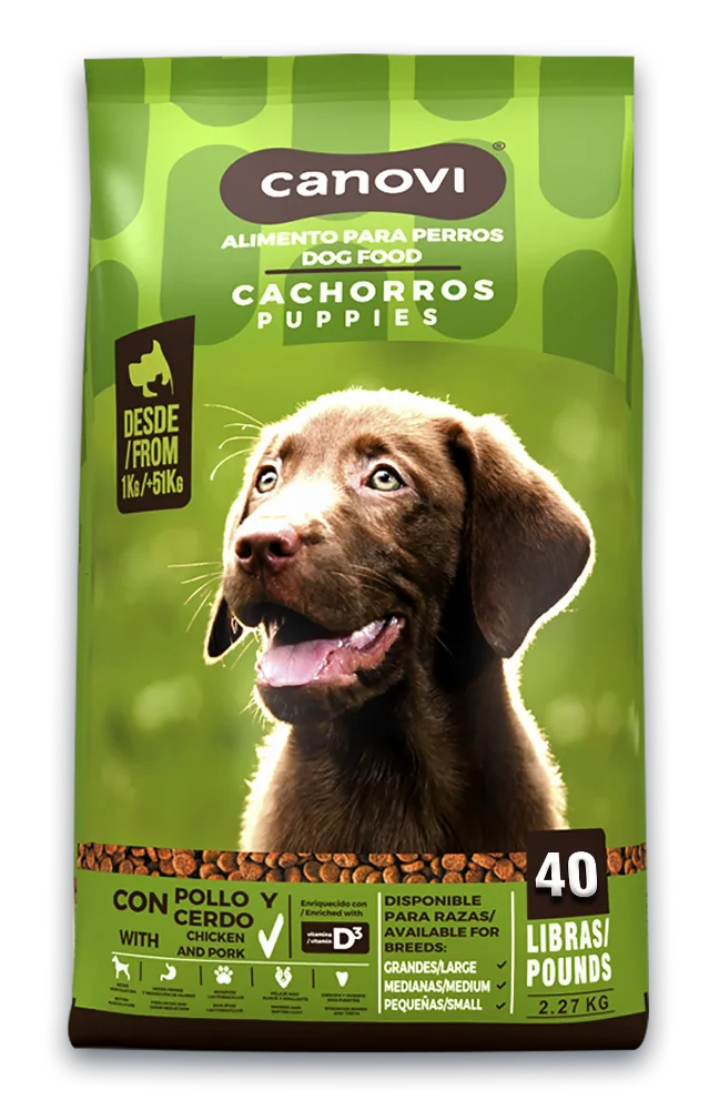 CANOVI CACHORRO