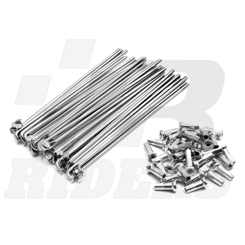 RAYOS CON NIPLE 165 X 4 - 36U (RIDERS)