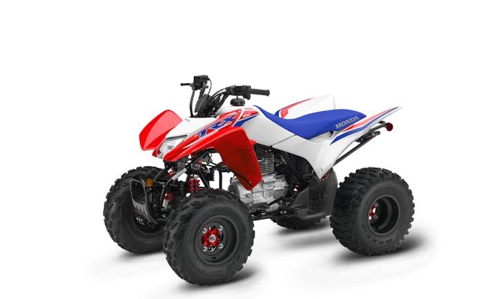 TRX250X 4X2 Sport