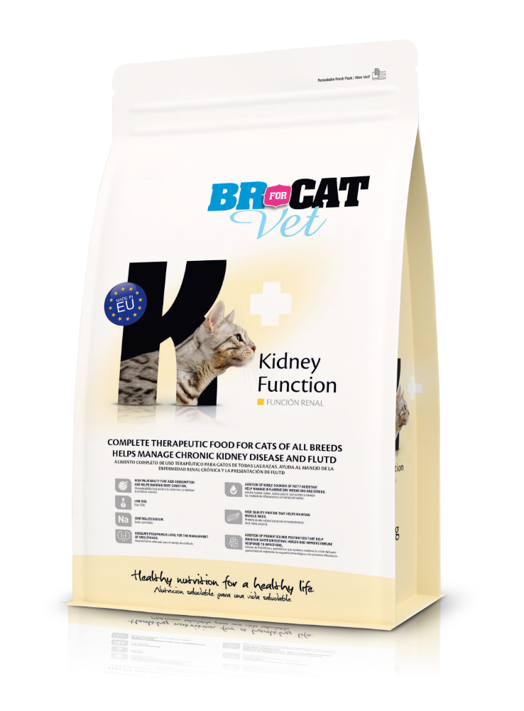 BR FOR CAT VER FUNCION RENAL X 500 GRS.