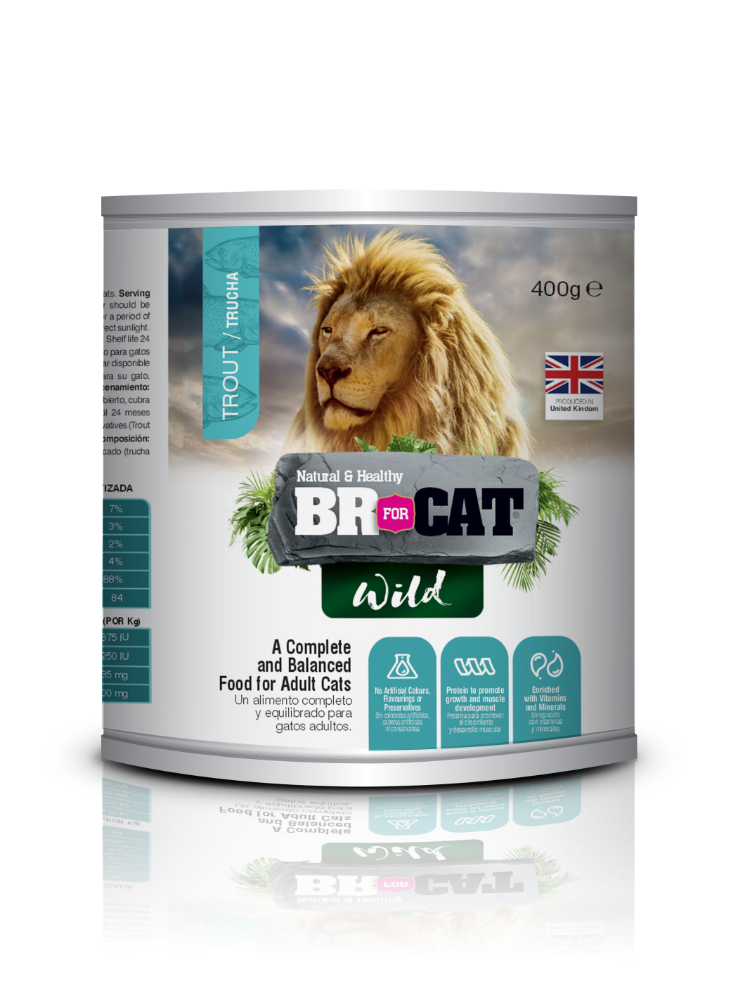 BR WILD LATA GATO TRUCHA X 400 GRS.